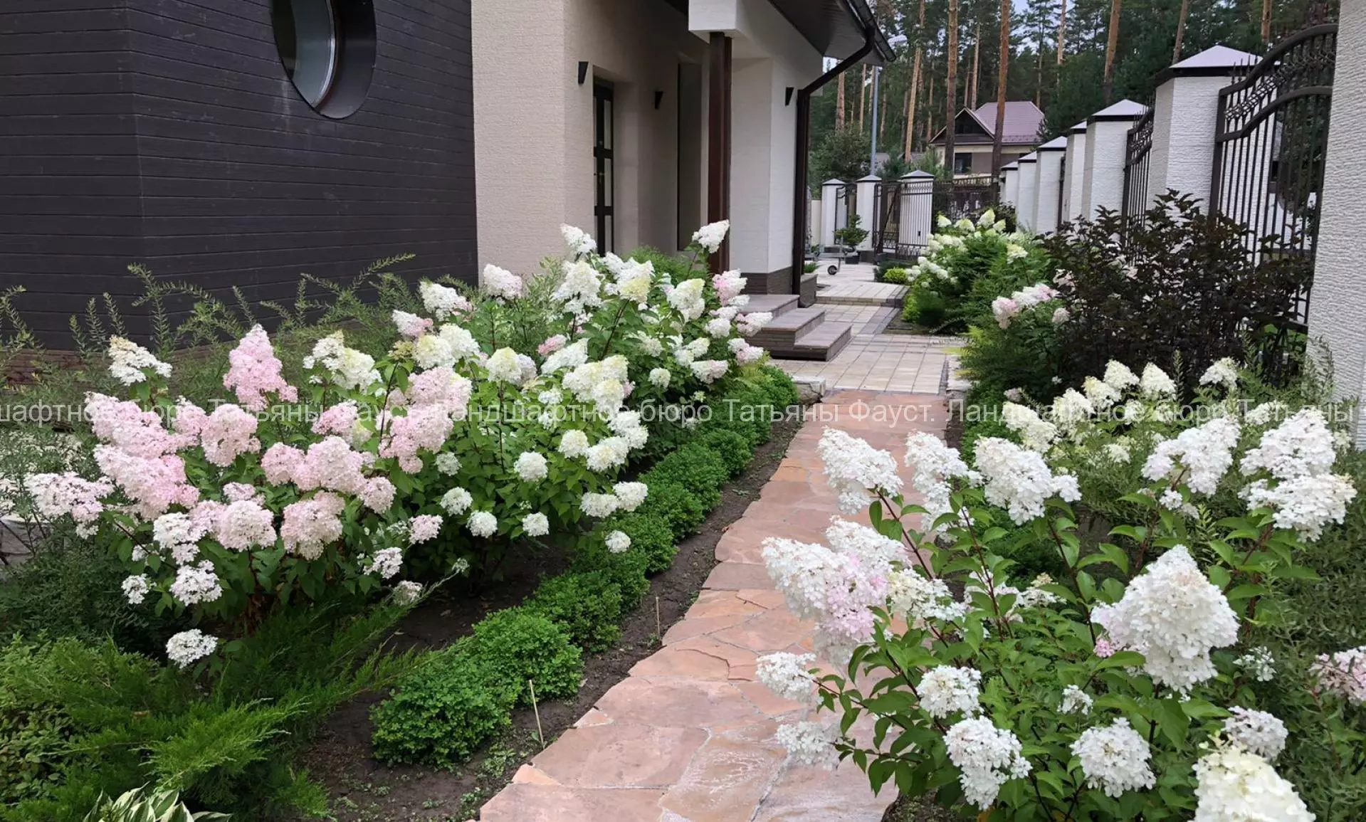 Сад с гортензиями